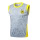 Debardeur Short Dortmund 2025 2026 Gris - Image 2