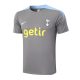 Ensemble Maillot Short Tottenham 2024 2025 Gris - Image 2