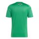 Maillot Algerie Palestine 2023 Vert Brillant - Image 2