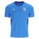 Maillot Islande 2026 2027 Domicile
