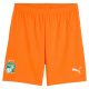 Maillot Kit Enfant Cote d??Ivoire Domicile 2024 2025 - Image 4