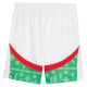 Maillot Kit Enfant Maroc Exterieur 2026 2027 - Image 5