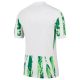 Maillot Nigeria Exterieur 2024 2025 - Image 2