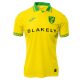 Maillot Norwich City Domicile 2025 2026