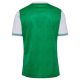 Maillot Saint Etienne Domicile 2025 2026 - Image 2