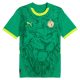 Maillot Match Senegal Exterieur 2024 2025