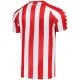 Maillot Sunderland Domicile 2024 2025 - Image 2