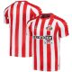 Maillot Sunderland Domicile 2024 2025 - Image 3