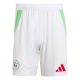 Maillot Kit Enfant Algerie Domicile 2024 2025 - Image 4