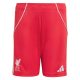 Maillot Kit Enfant Liverpool Domicile 2025 2026 EKITIKE - Image 4