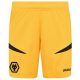 Maillot Kit Enfant Wolverhampton Domicile 2024 2025 Gold - Image 4